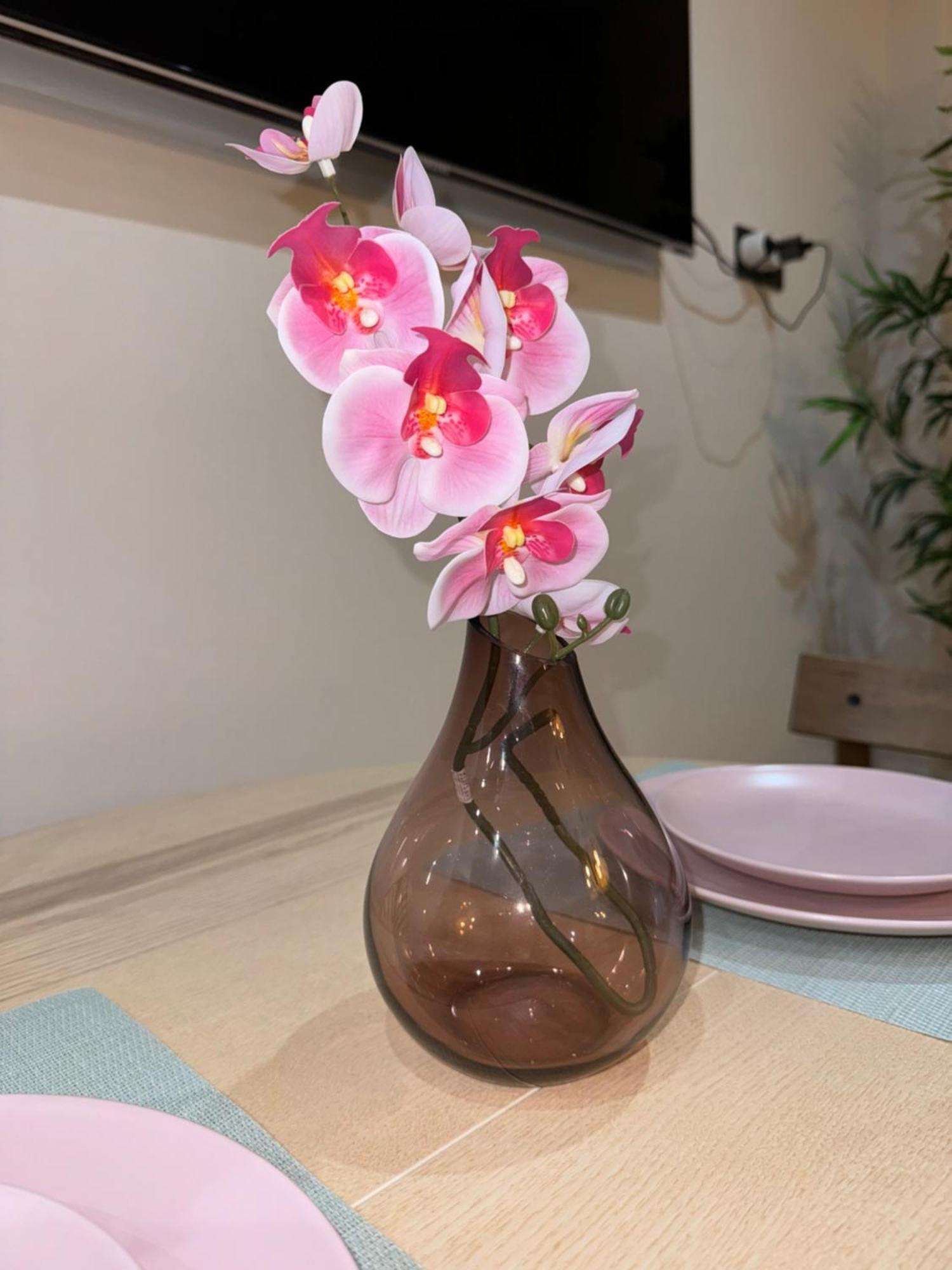 Parking Vigilado Gratis Pleno Centro,Cozy Apartment Granada Picon Center, Recien Reformado Ngoại thất bức ảnh